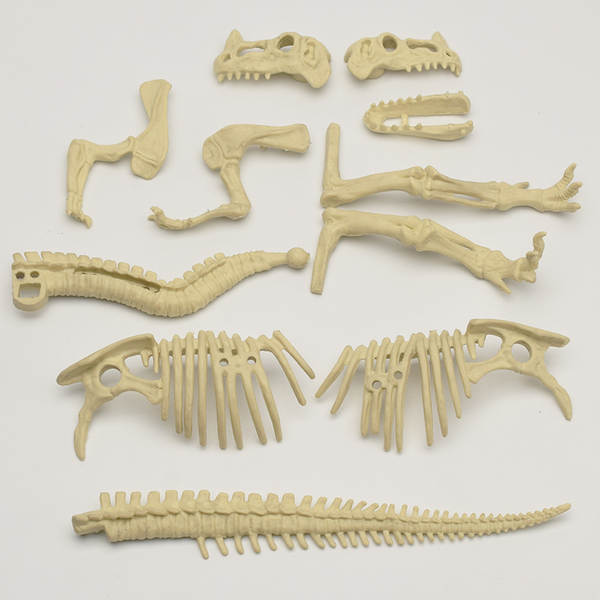 Kit de Montagem de Esqueleto de Dinossauro
