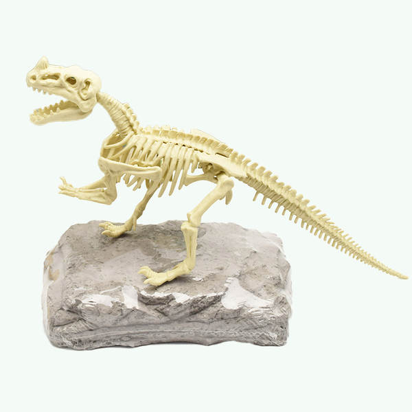 Kit de Montagem de Esqueleto de Dinossauro
