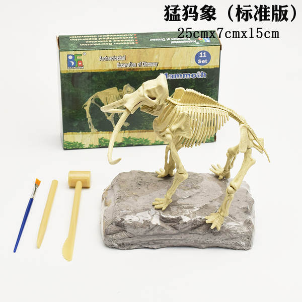 Kit de Montagem de Esqueleto de Dinossauro