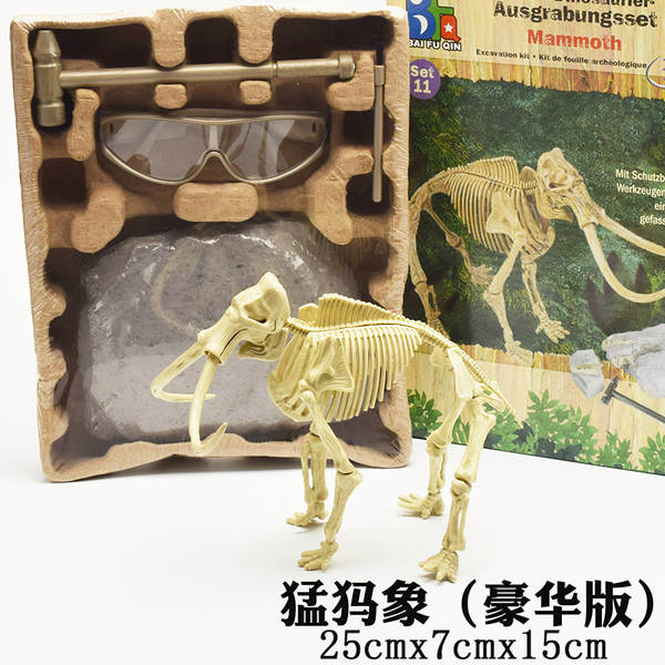 Kit de Montagem de Esqueleto de Dinossauro