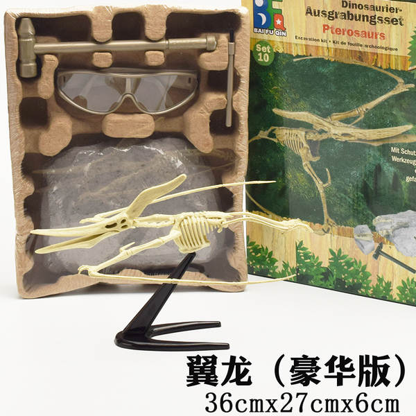 Kit de Montagem de Esqueleto de Dinossauro