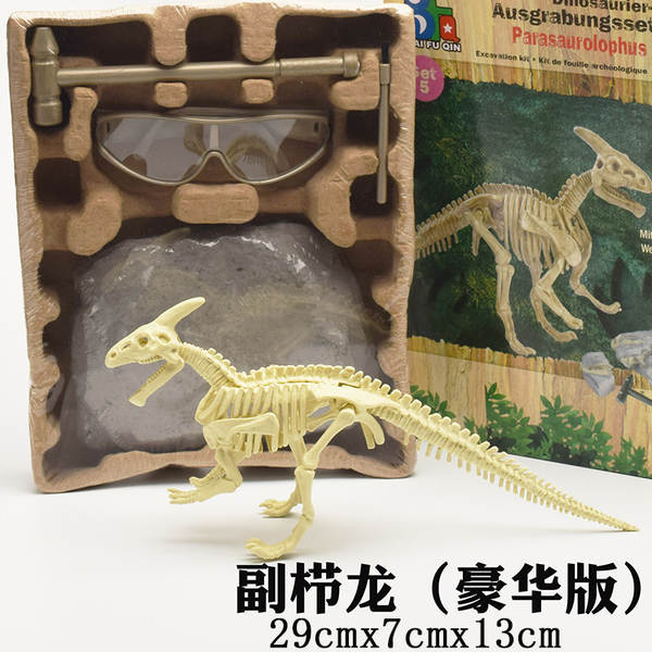 Kit de Montagem de Esqueleto de Dinossauro