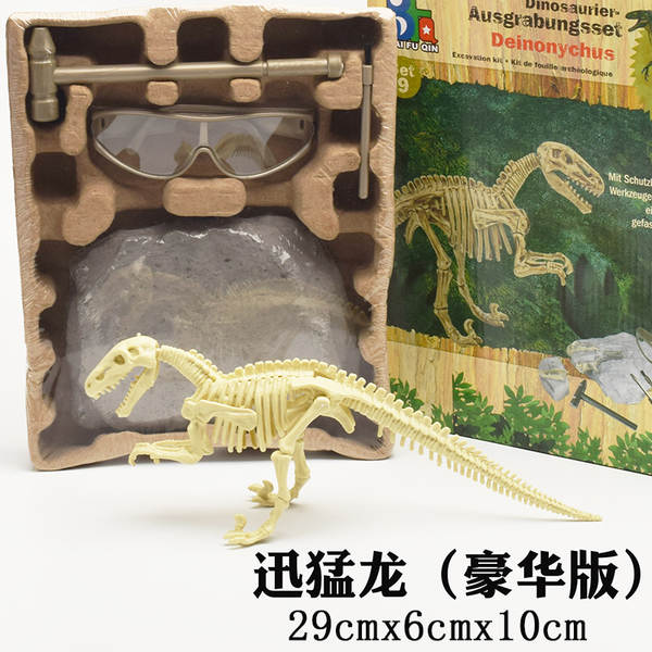 Kit de Montagem de Esqueleto de Dinossauro