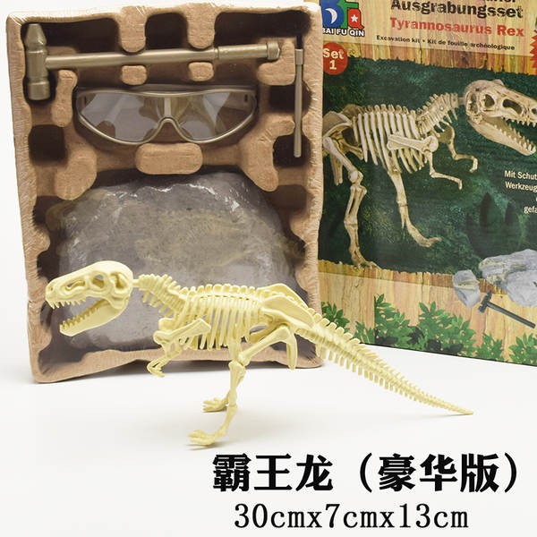 Kit de Montagem de Esqueleto de Dinossauro