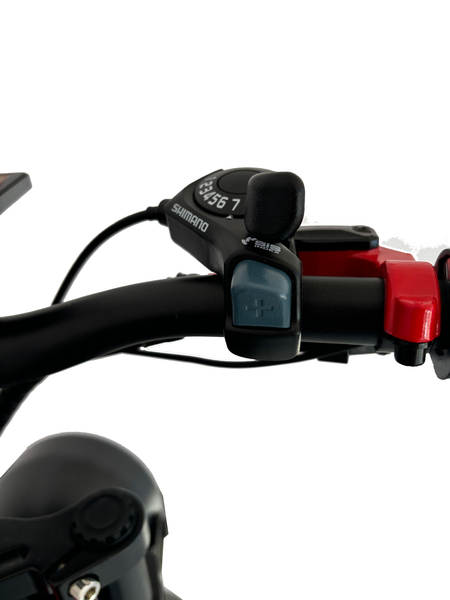 Bicicleta Elétrica Montanha