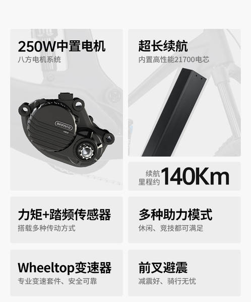 CYCTRAC Caminhão de Competição Softtail Duplo Conexão de Fibra de Carbono Bicicleta Elétrica Assistente EM19 Motor Intermediário M820