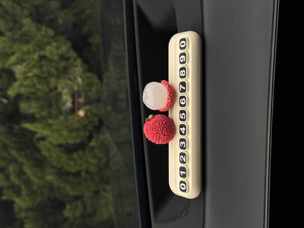 Placa de Estacionamento Temporária para Carro