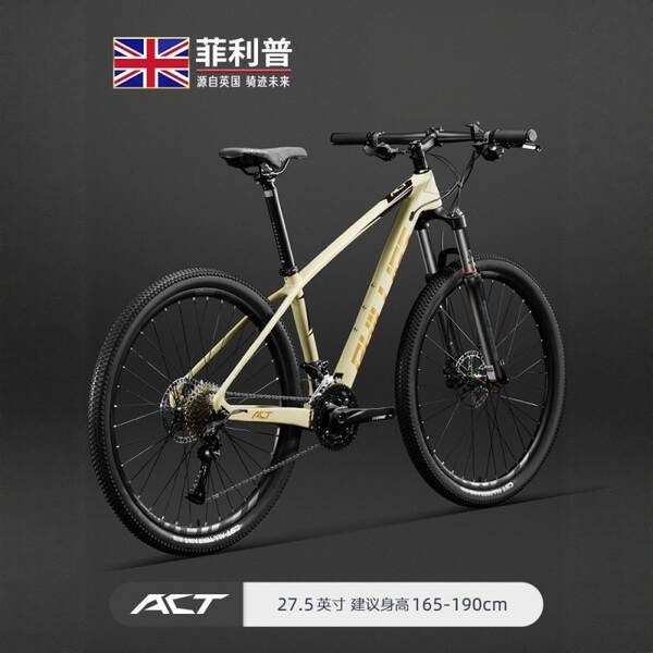 Bicicletas de montanha de fibra de carbono da Philips para adultos masculinos de 33 velocidades para bicicletas de montanha ultra-leves