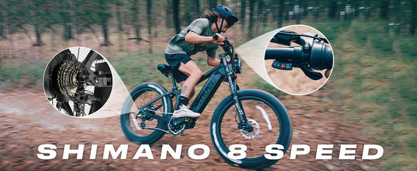 VITILAN T7PRO bicicletas elétricas 26x4.0" 20AH