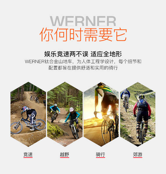 WERNER M8100-2*12 Bicicleta de corrida de velocidade transversal XC para adultos
