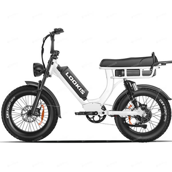 Bicicleta elétrica de montanha de duas baterias 48V 20Ah Escalada de alta velocidade 55km/h Regata leve de liga de alumínio