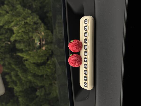 Placa de Estacionamento Temporária para Carro