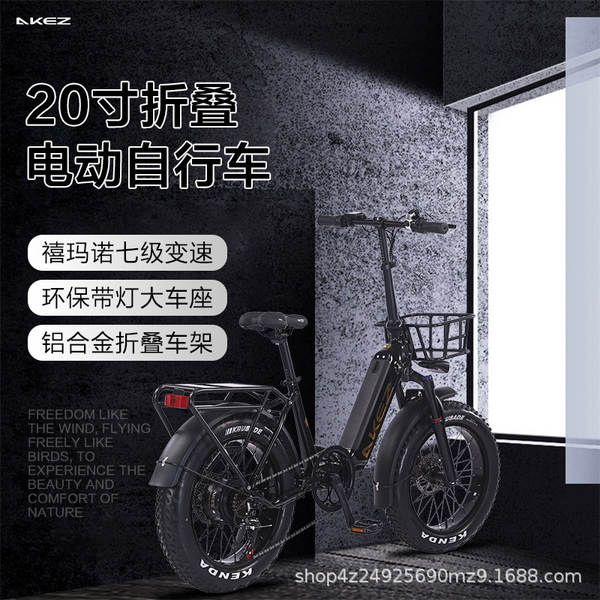 Bicicletas elétricas de 20 polegadas com freio de óleo dobrável de liga de alumínio com assistência elétrica