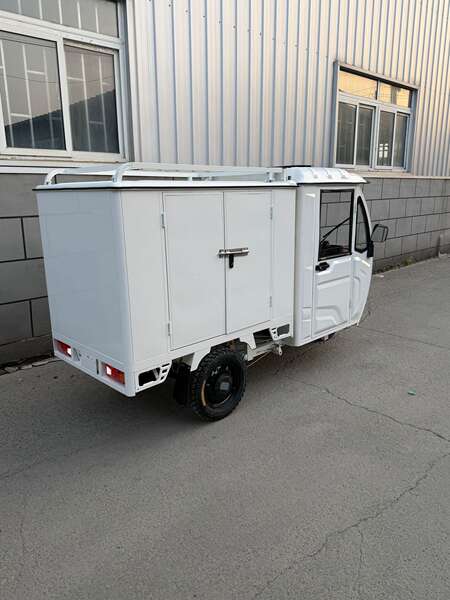 Carro elétrico de três rodas totalmente fechado para caminhadas Lithium