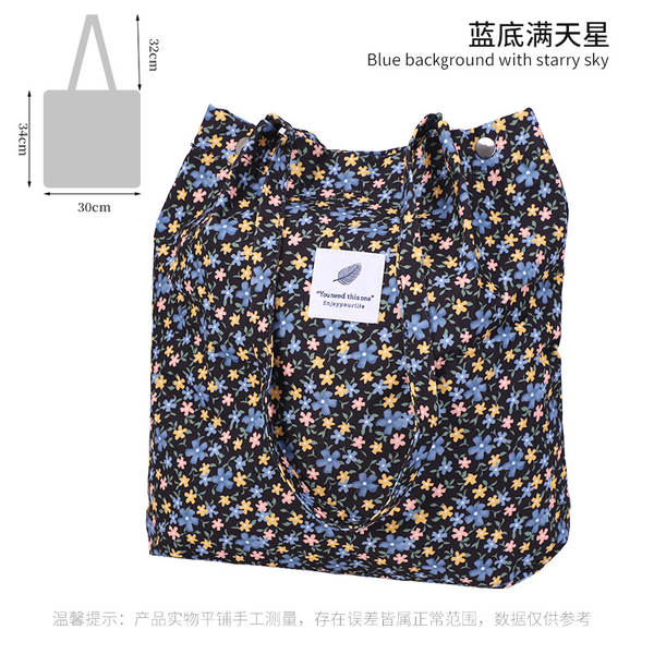 ins风简约灯芯绒帆布包双肩带帆布袋旅行外出收纳包女包单肩包