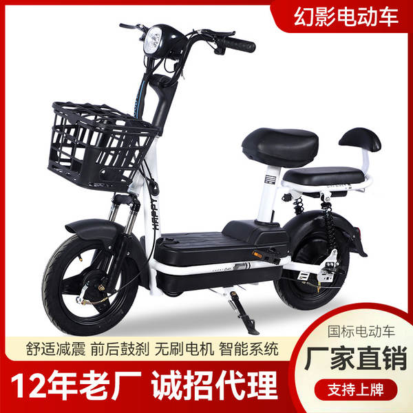 Pequeno Príncipe fabricante de carros elétricos atacado carro elétrico de duas rodas 48V bicicleta elétrica adulto carro elétrico