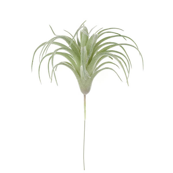 A árvore do gato simulação de plantas 15cm ar Phoenix plantação de pelúcia multi-carne mini-ar plantação de parede verde decoração de erva artificial