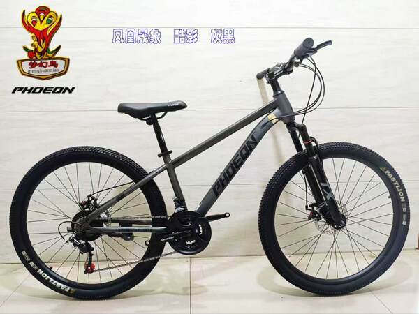Bicicleta de Montanha 24 ou 26 Polegadas