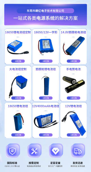 Bateria de Lítio 24V 3000mAh