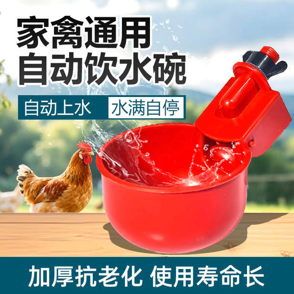 Bebedouro Automático para Aves
