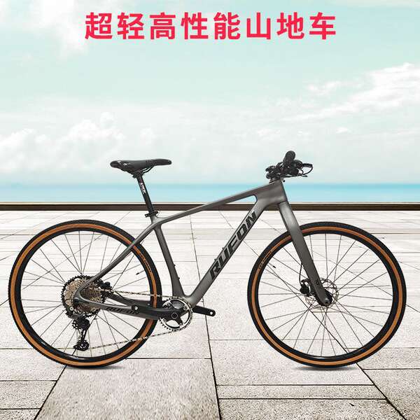 Bicicleta de Montanha Carbono 12 Velocidades