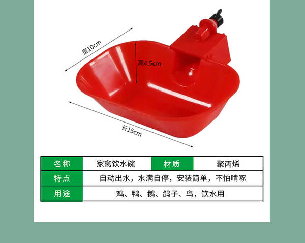 Bebedouro Automático para Aves