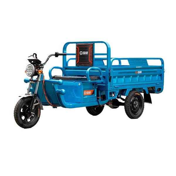 Triciclo Elétrico de Carga