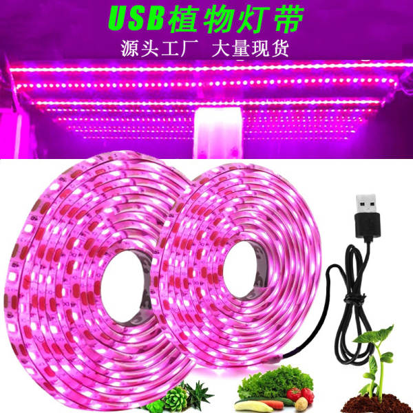 Luz transfronteiriça de crescimento de plantas USB 5V2835LDE todo o espectro impermeável luz de plantas vermelho-azul espectro de iluminação complexa