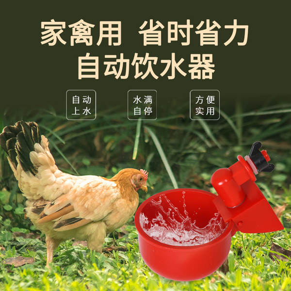 Bebedouro Automático para Aves