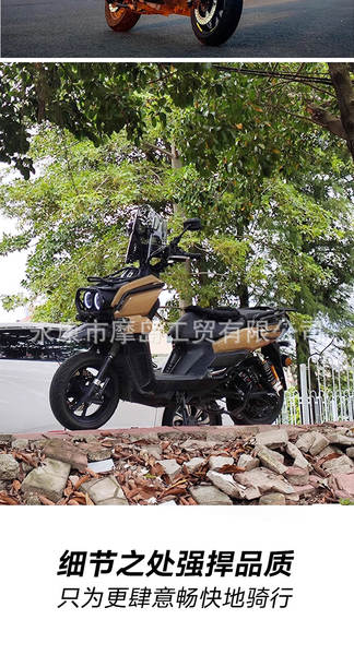 Bicicleta Elétrica de Corrida para Adulto