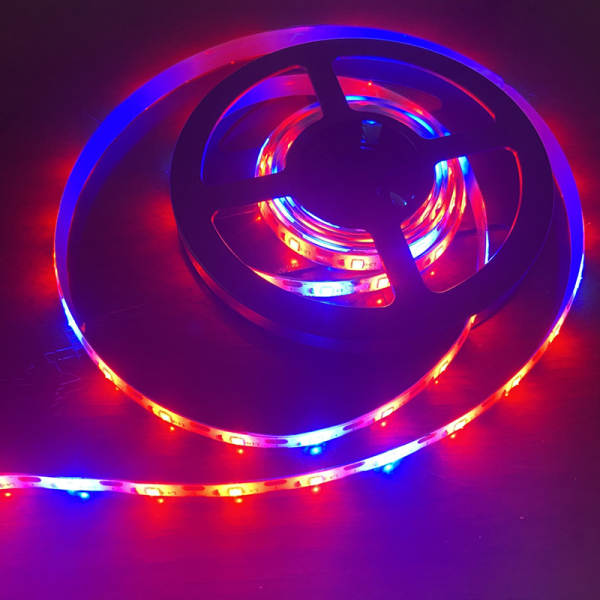 Luz transfronteiriça de crescimento de plantas USB 5V2835LED3 vermelho 1 azul-vermelho-azul Espectroscópico de iluminação composta de piscinas de iluminação