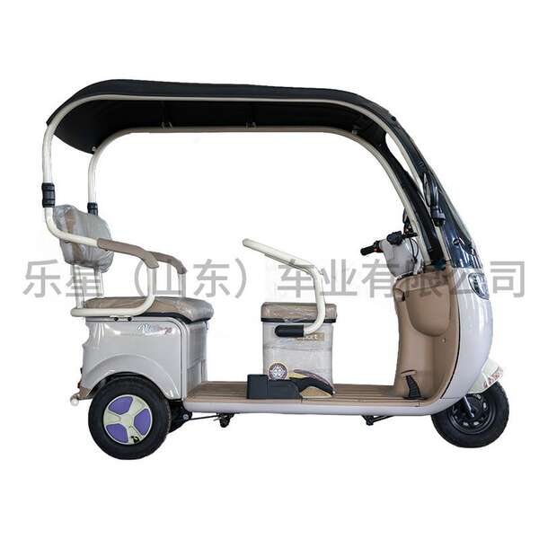 Carro elétrico transfronteiriço de três rodas de duas rodas para adultos de repouso para pedestres de grande potência para passageiros de duas garrafas elétricas