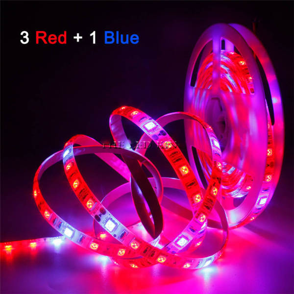 Luz transfronteiriça de crescimento de plantas USB 5V2835LED3 vermelho 1 azul-vermelho-azul Espectroscópico de iluminação composta de piscinas de iluminação