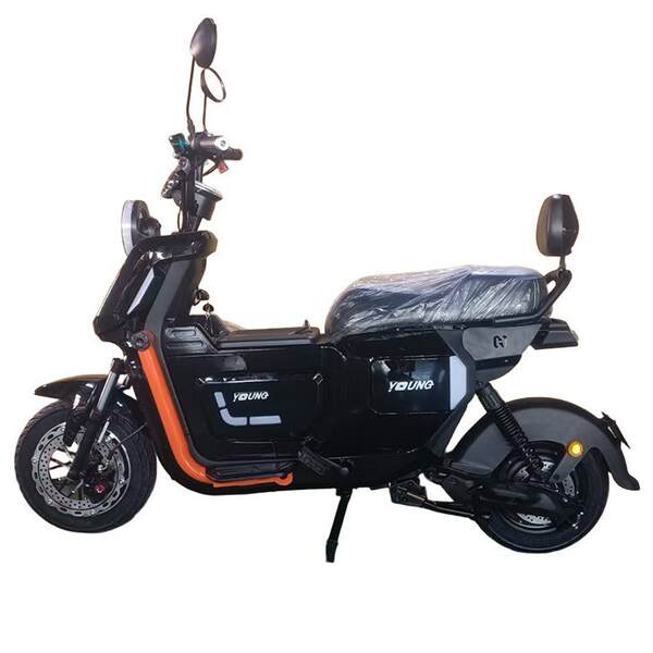 Bicicletas elétricas para adultos com duas rodas  Carro elétrico para adultos com duas rodas