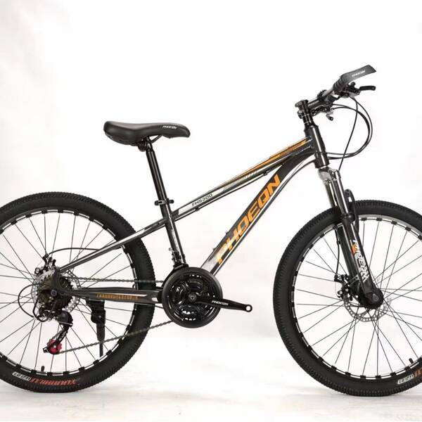 Bicicleta de Montanha com Freio a Disco