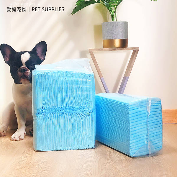 Fraldas Descartáveis para Cães