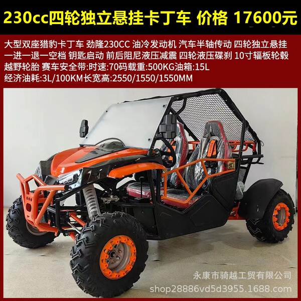 UTV Carton quatro rodas motocicleta off-road 125cc-230cc todo-terreno carro de praia adulto duplo assento elétrico