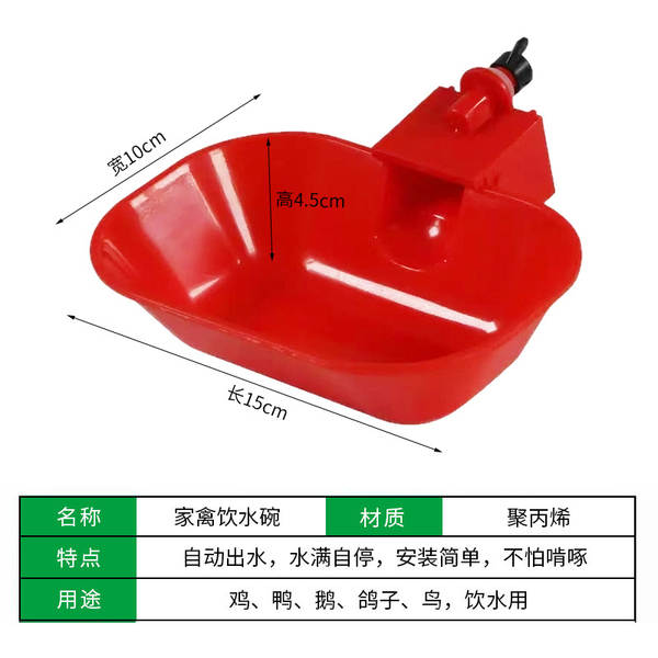 Bebedouro Automático para Aves