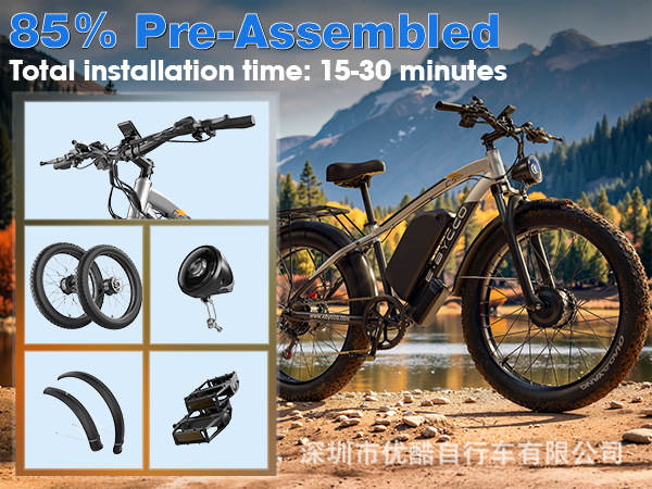 Fabricante atacado Ebycco bicicletas elétricas de dupla direção Novo motor 24*4.0 carrinho de montanha elétrico