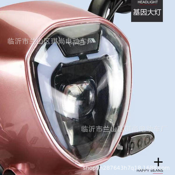 Novo carro elétrico da Golden Eagle passa para o refletor de luz para adultos caminhão de bicicleta elétrica para pedestres