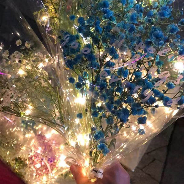 Luzes de Led para Decoração