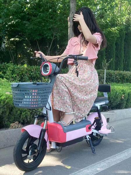 Bicicleta Elétrica Portátil