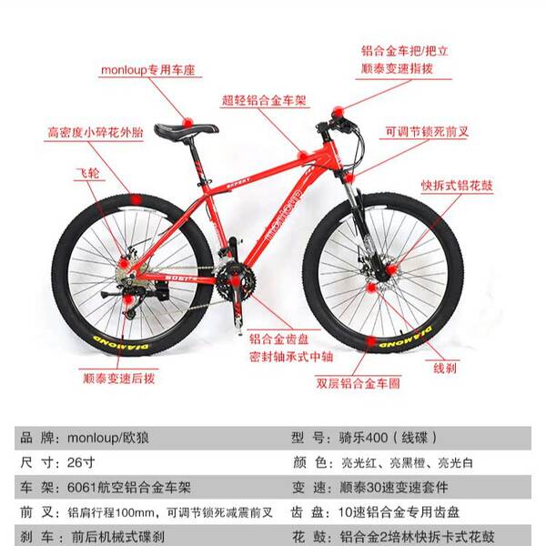 Bicicleta de Montanha