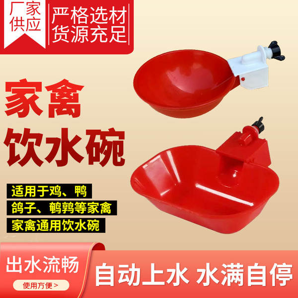 Bebedouro Automático para Aves