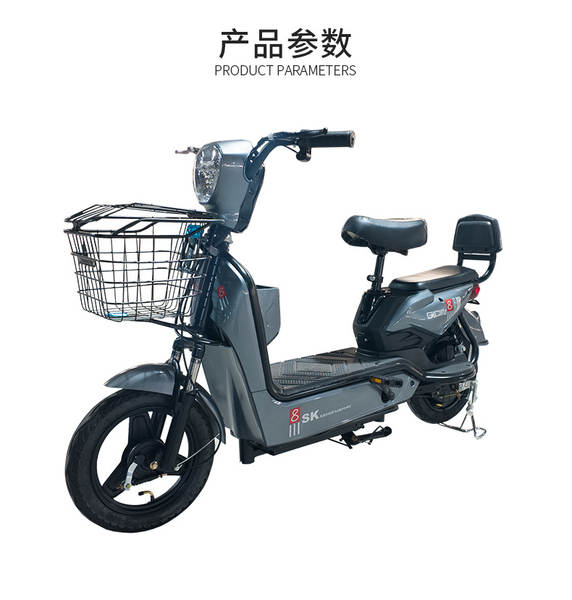 Bicicleta Elétrica Adulto