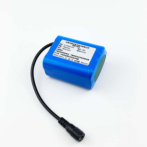 Bateria de Lítio 24V 3000mAh