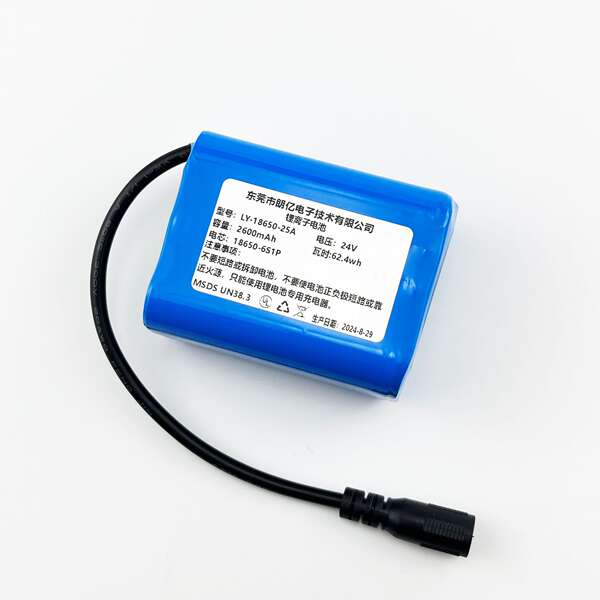 Bateria de Lítio 24V 3000mAh