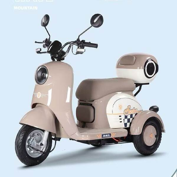 Novo carro elétrico de três rodas para adultos com caminhão para mulheres pequenas para transportar crianças idosas para carros elétricos