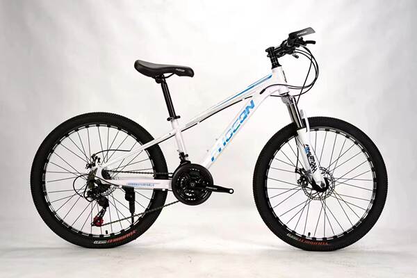 Bicicleta de Montanha com Freio a Disco