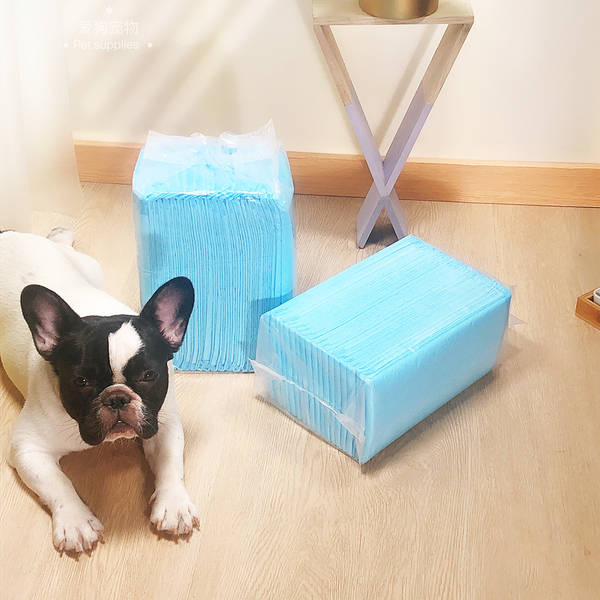 Fraldas Descartáveis para Cães